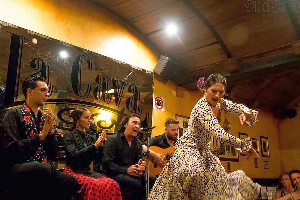 Where to see flamenco shows in Cádiz?