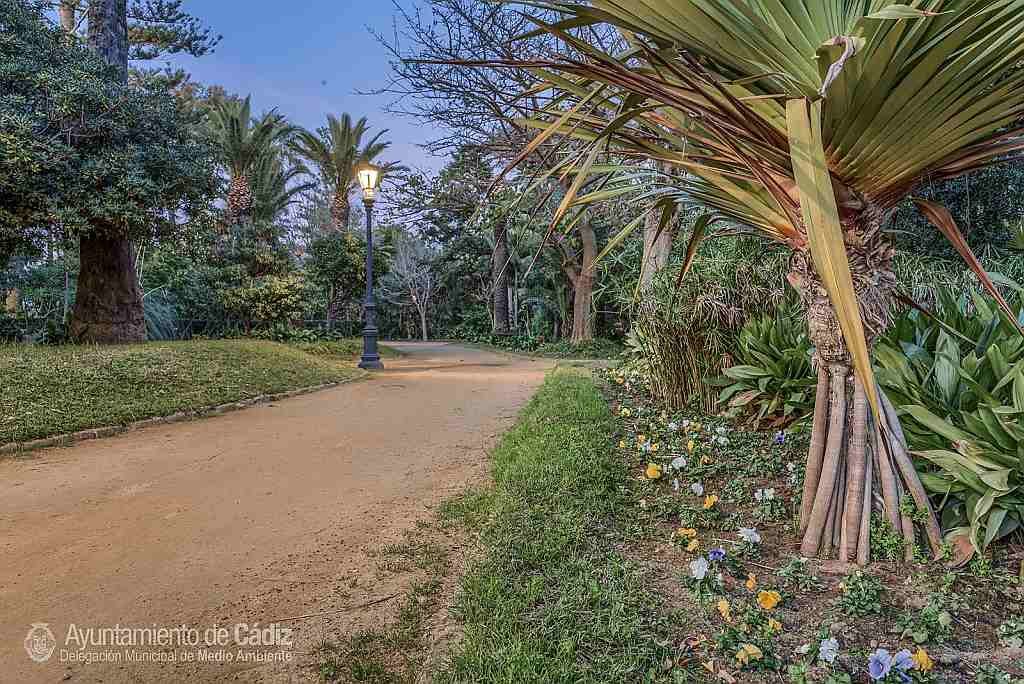 The Genovés Park in Cádiz