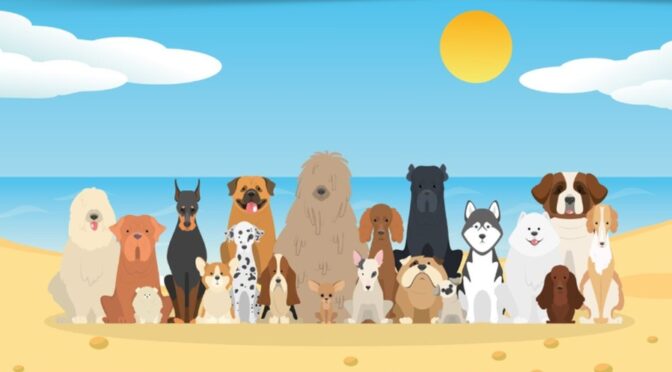 Can You Take Your Dog on the Beach in Cádiz City?