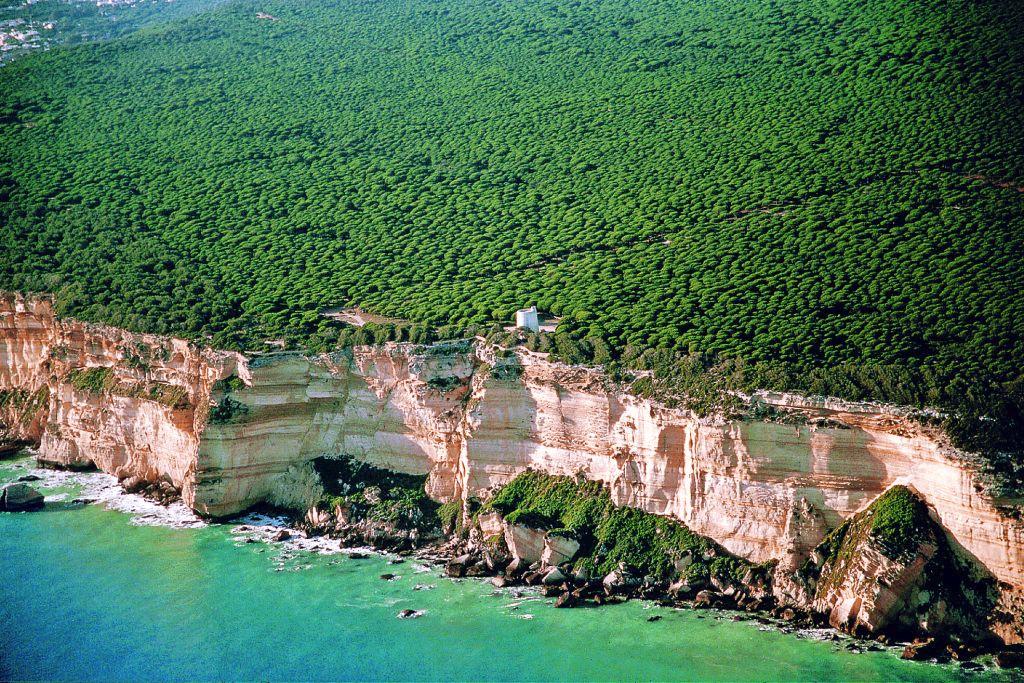 La Breña y Marismas de Barbate