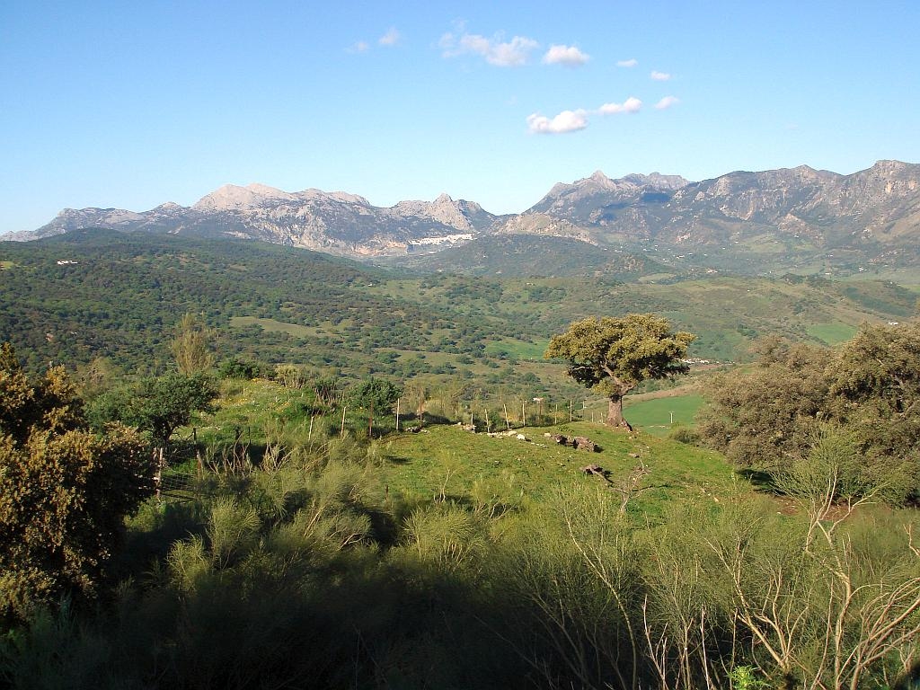 The Sierra de Grazalema