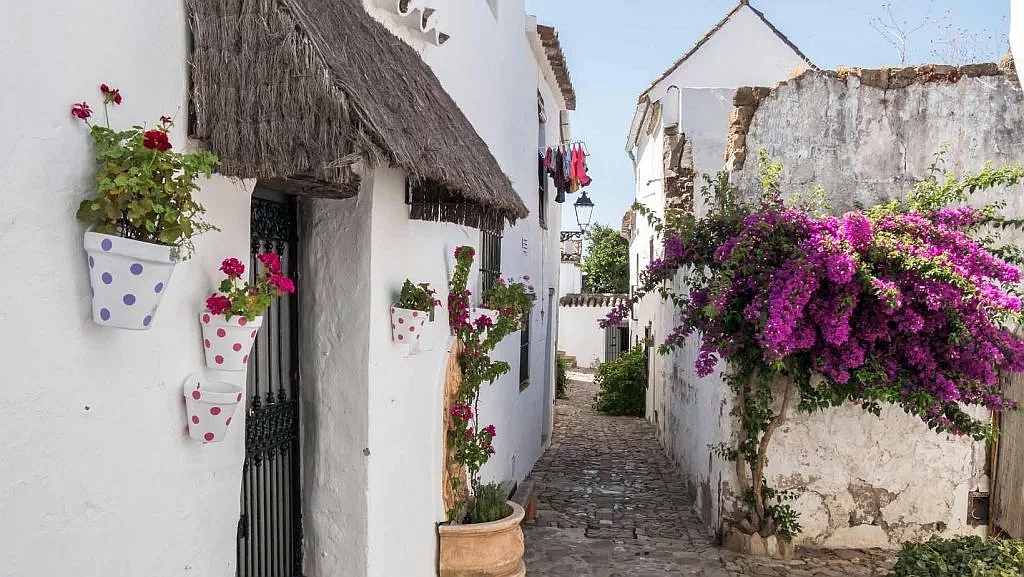 Castellar de la Frontera - Flowers and streets