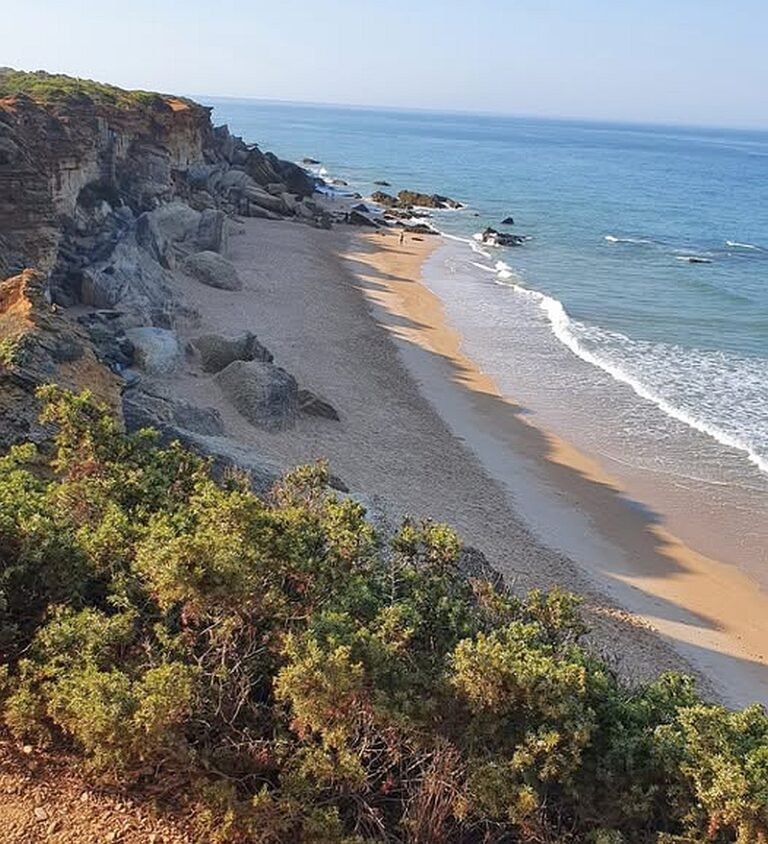 Exploring Conil: Beaches, Gastronomy, and Culture on the Costa de la ...